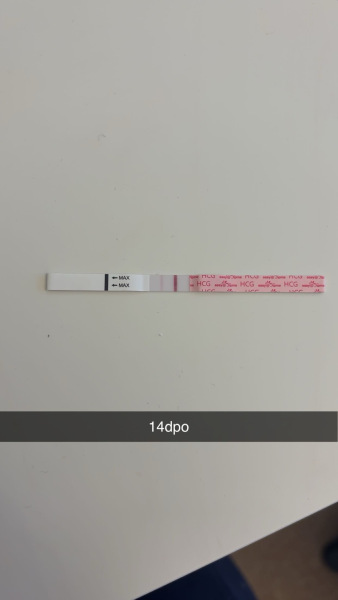 TTC