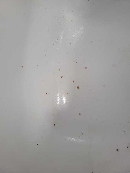 Anyone know what these stains in the bath might be?