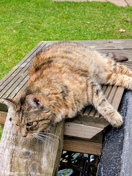 Prison Dramas, Bands and Ouija Boards - the Excellent Cats audition, sing and plot