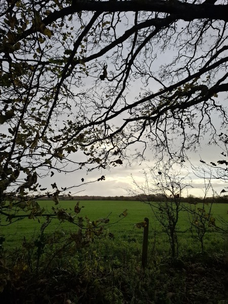 The Nigel Slater Christmas Chronicles Readalong 2025