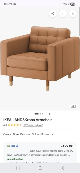 Help! Cat pissed on armchair, can I save it?