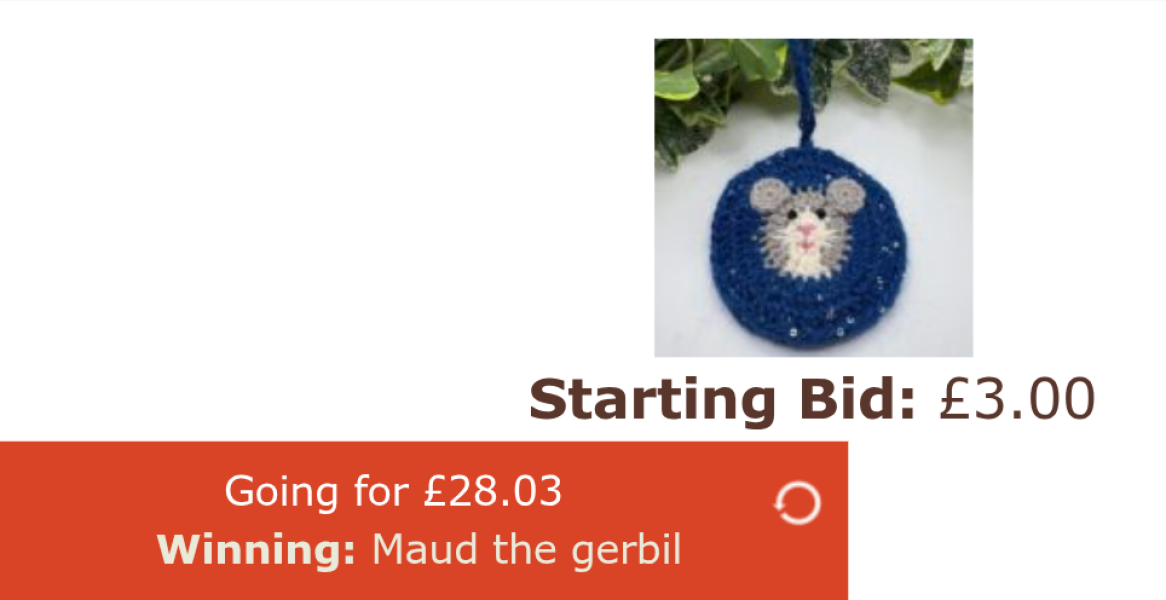 The Bluestocking: All You Need to Know About Risk Assessments, Jazz Hands, Battenberg and Sourdough (But Were Afraid to Ask) - and gerbils. Lots and lots of gerbils.
