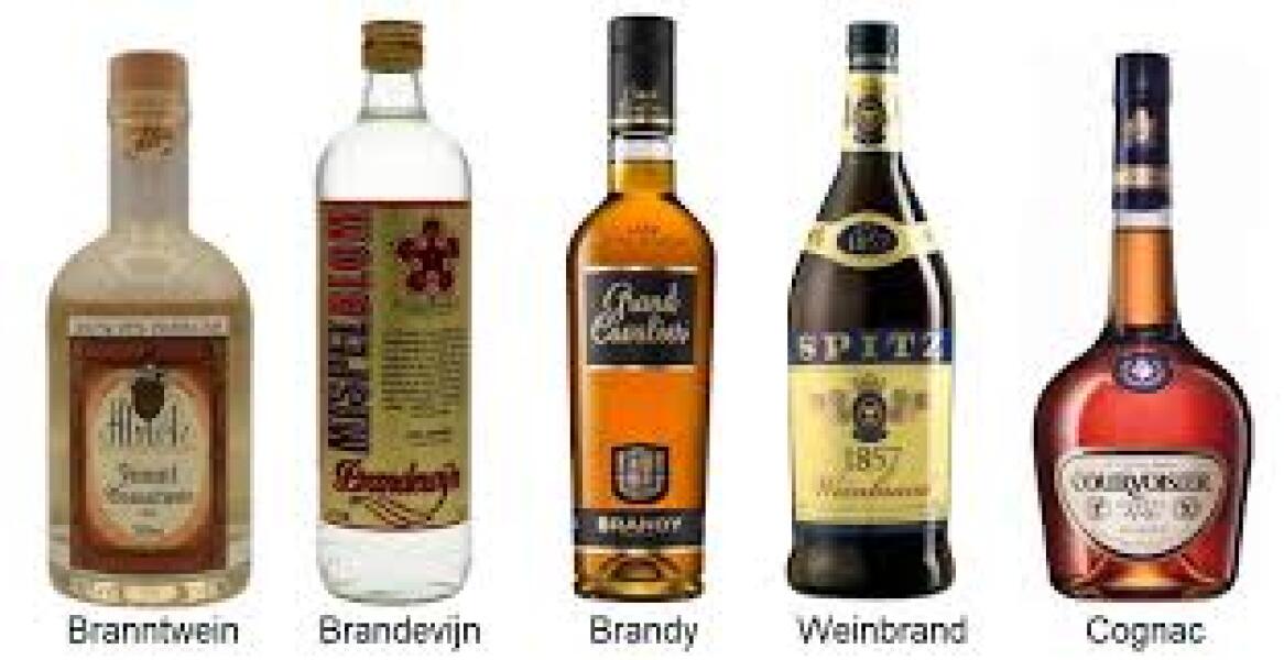 The Bluestocking: All You Need to Know About Risk Assessments, Jazz Hands, Battenberg and Sourdough (But Were Afraid to Ask) - and gerbils. Lots and lots of gerbils.