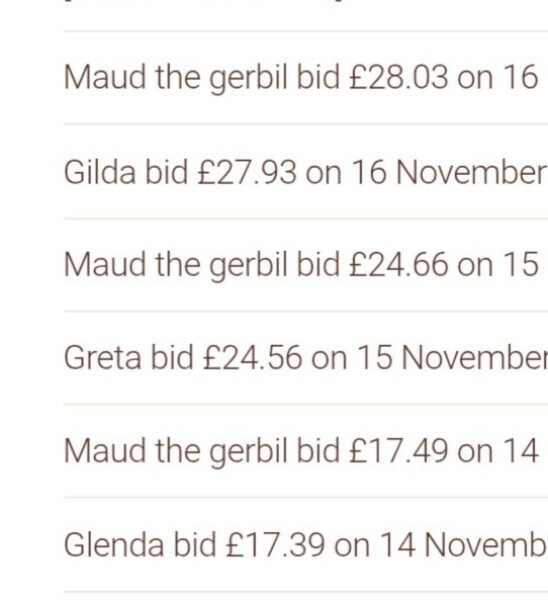 The Bluestocking: All You Need to Know About Risk Assessments, Jazz Hands, Battenberg and Sourdough (But Were Afraid to Ask) - and gerbils. Lots and lots of gerbils.