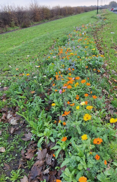 The Nigel Slater Christmas Chronicles Readalong 2025