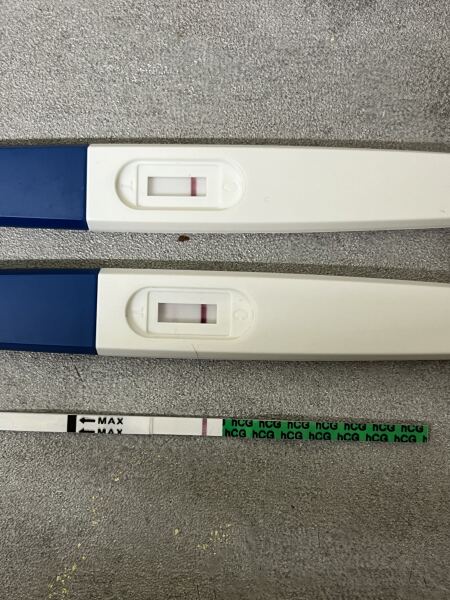 Pregnancy test