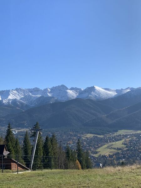 Thread 36 Starmer - Triggered by ads and Da iawn, Caerffili.