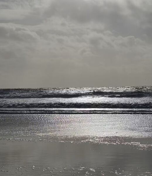 Thread 39 Starmer: chwech/saith - dechreuodd y plant ei