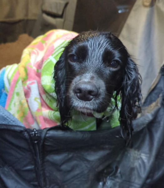 Our Cosmic Autumn Rebellion (Adolescent Support Group)