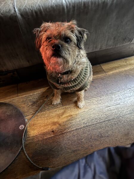 Thread #6, living with incurable cancer, taking ALL the drugs, and remembering our fallen comrades