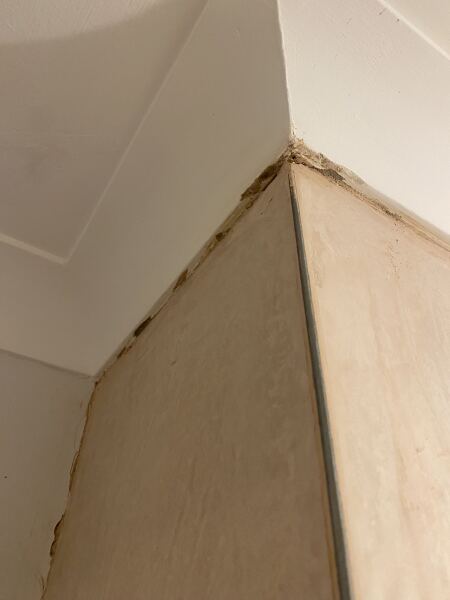 Cowboy tradesman - livid