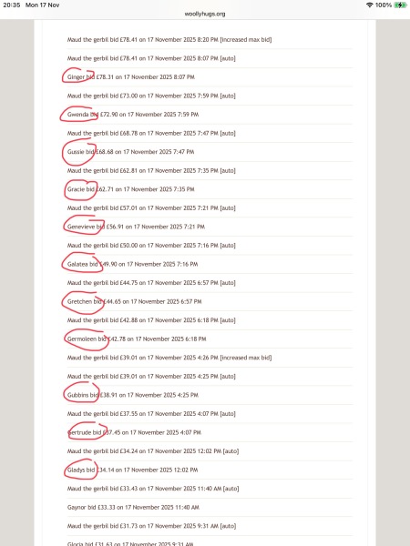 The Bluestocking: All You Need to Know About Risk Assessments, Jazz Hands, Battenberg and Sourdough (But Were Afraid to Ask) - and gerbils. Lots and lots of gerbils.