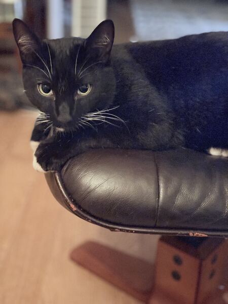 New bitey behaviour