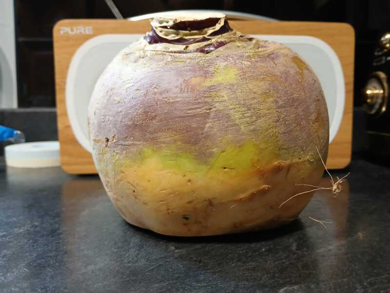 Swede at Christmas