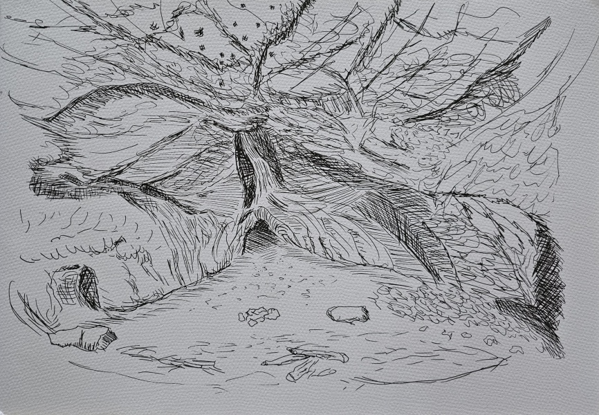 Keeping on exercising