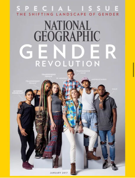 what did you know and when did you know it?