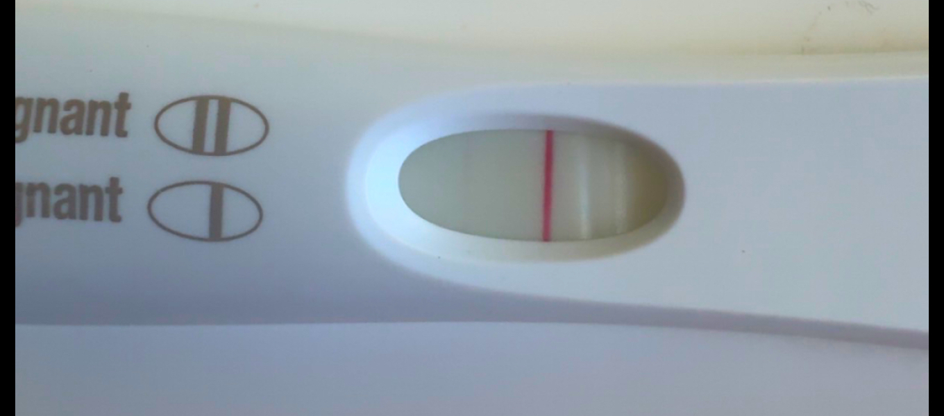 4 weeks 4 days- 13dpo. Chemical