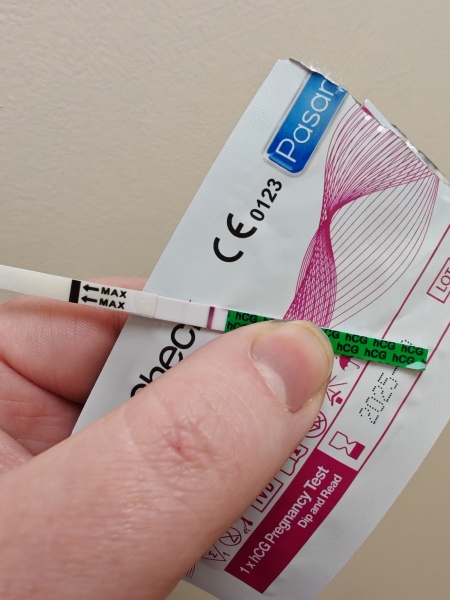 Pregnancy or evap line?