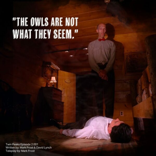 To tell you I can hear an owl hooting and it's weirdly thrilling?