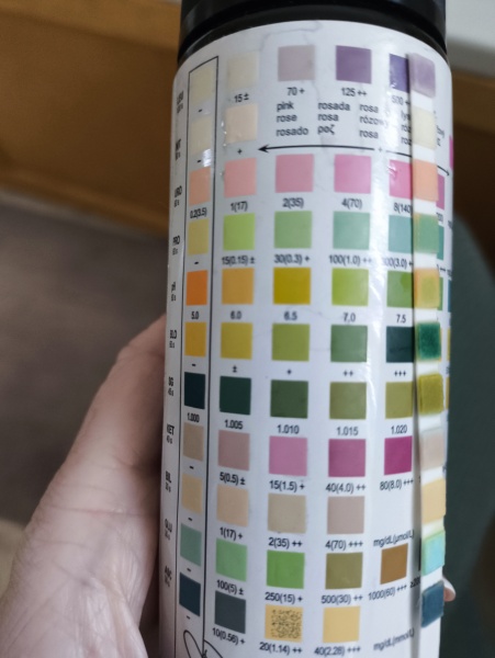 Can anyone help interpret my urine dip please?