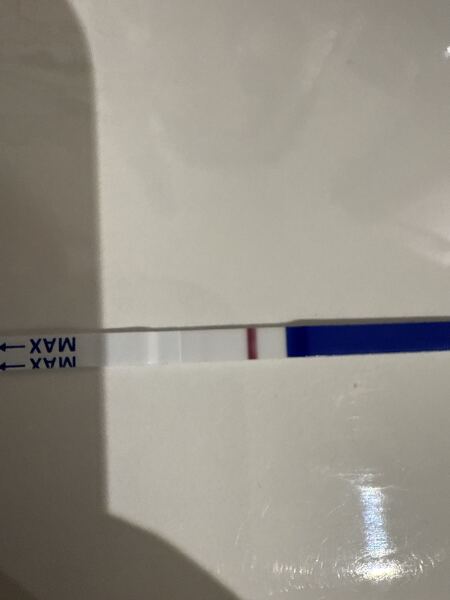 The Hopeful Hearts Circle 1  - December 2025🎄💖