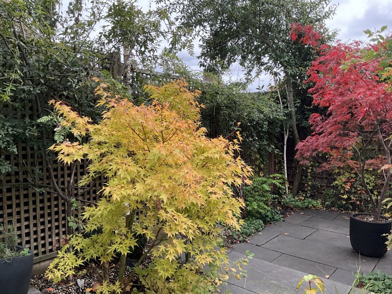 The potting shed: sheltering from the rain and musing about the garden