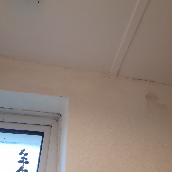 What could be cause of damp/moulds - how to get help