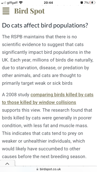 To think cats shouldn’t be allowed out without owners