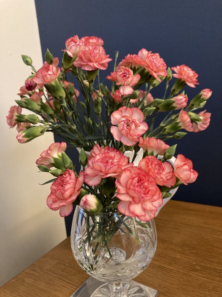 Thread 37 Starmer:  pinko commie slimeball