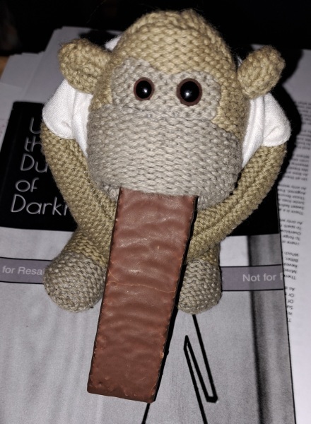 The Bluestocking: All You Need to Know About Risk Assessments, Jazz Hands, Battenberg and Sourdough (But Were Afraid to Ask) - and gerbils. Lots and lots of gerbils.