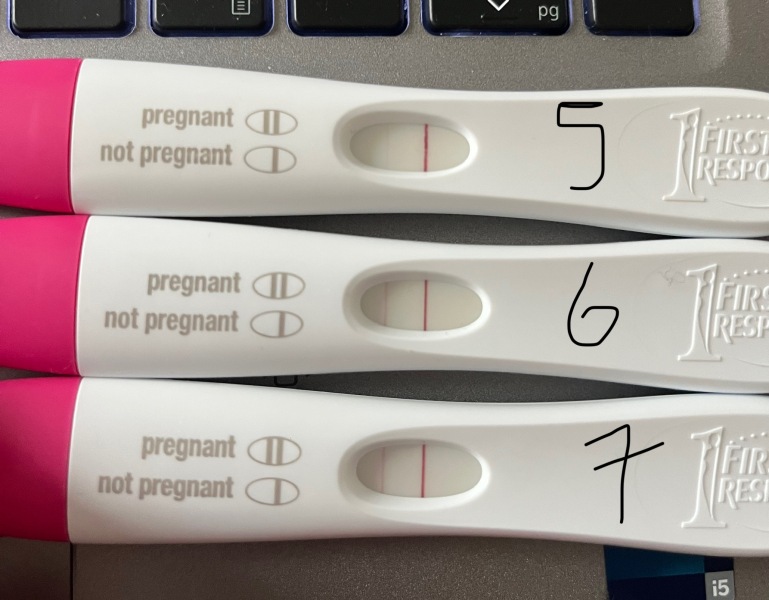 7dp5dt BFP FRER / BFN CB
