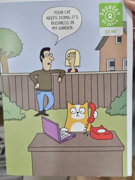 To think cats shouldn’t be allowed out without owners