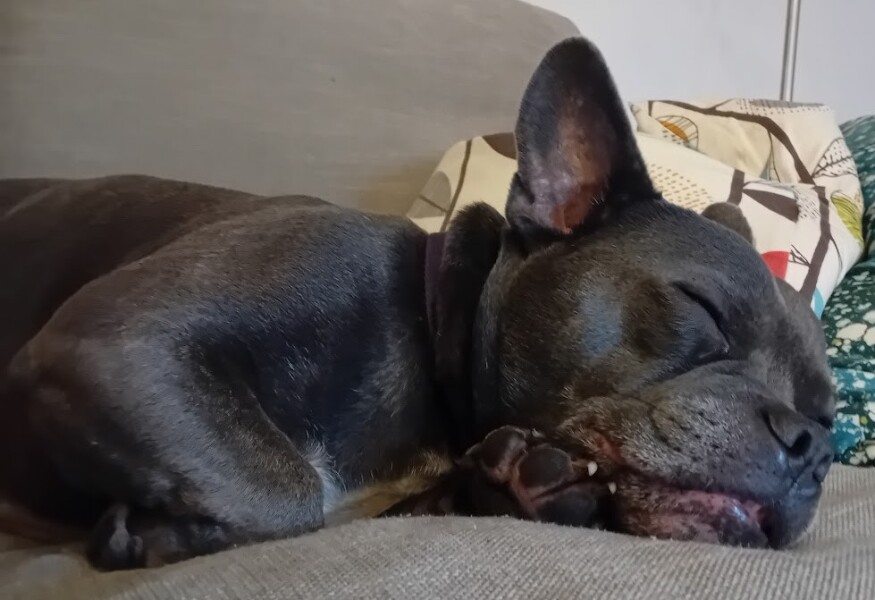 Support thread for anyone trying to lead an Alcohol free life - Winter 25