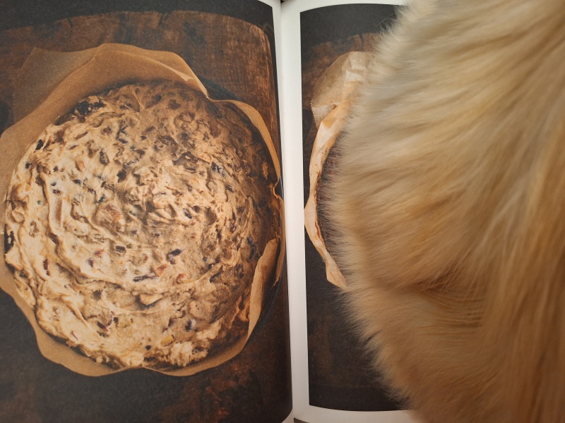 The Nigel Slater Christmas Chronicles readalong 2025 - Part 2