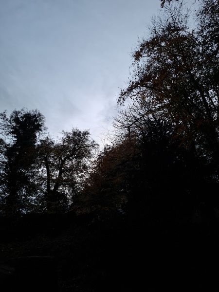 The Nigel Slater Christmas Chronicles Readalong 2025