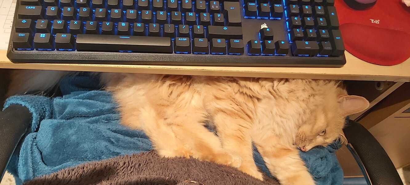 The Nigel Slater Christmas Chronicles readalong 2025 - Part 2