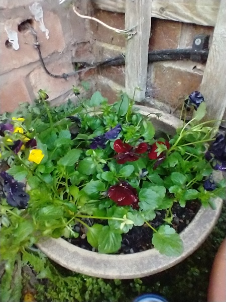 What are you up to today if you have chronic illness? Thread 3