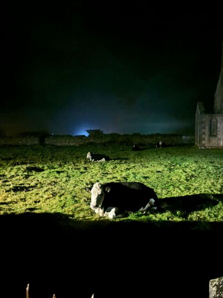 Thread 55 - Covid GCSE Cohort - Autumn 25  - Yr 4 Uni and Graduates