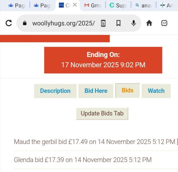 The Bluestocking: All You Need to Know About Risk Assessments, Jazz Hands, Battenberg and Sourdough (But Were Afraid to Ask) - and gerbils. Lots and lots of gerbils.
