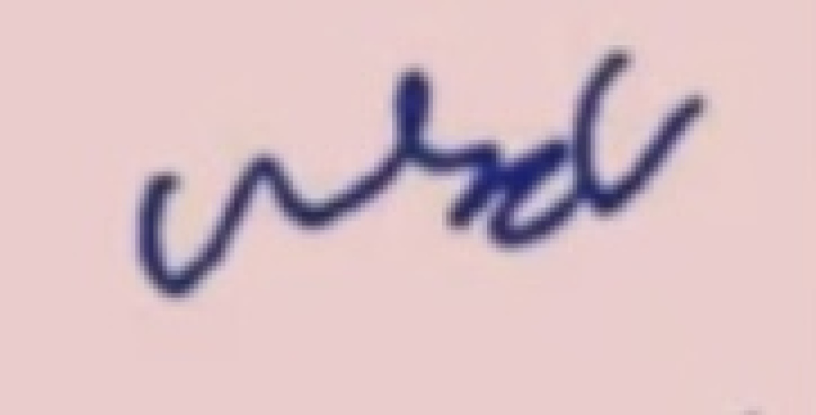 The Bluestocking: All You Need to Know About Risk Assessments, Jazz Hands, Battenberg and Sourdough (But Were Afraid to Ask) - and gerbils. Lots and lots of gerbils.