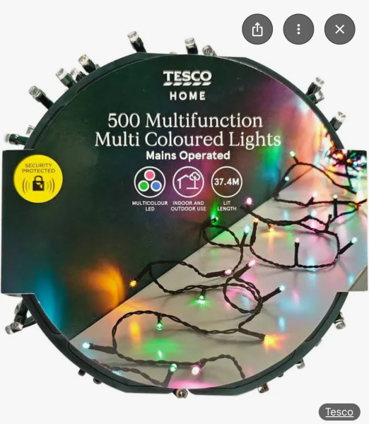 We asked for pink and orange in our Christmas lights