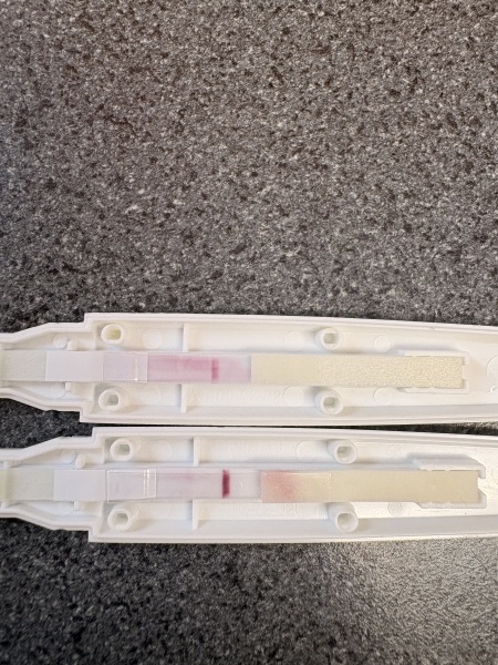 What do you think about these tests