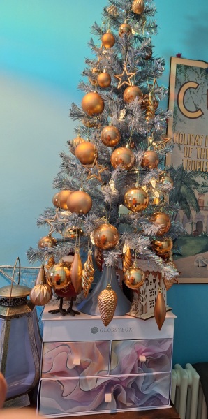 🎄 2025 Style and Beauty Advent Calendar Discussion ***SPOILERS*** THREAD 9