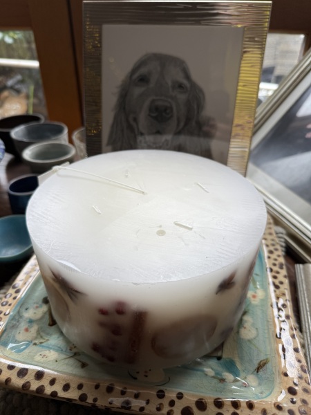 The Nigel Slater Christmas Chronicles Readalong 2025