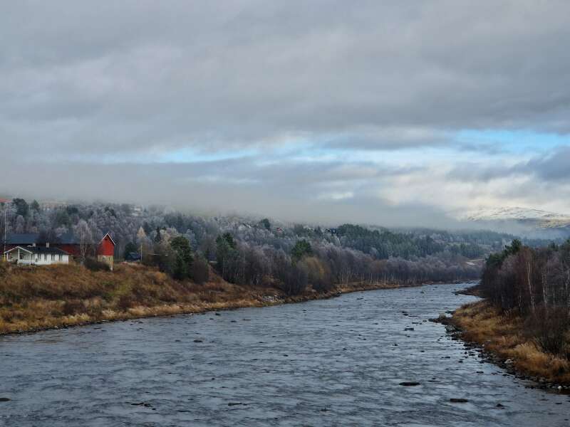 Year round Nigel Slater discussion thread Part 2