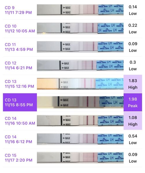 Anyone just started their dreaded 2WW ? 👀👋🏼