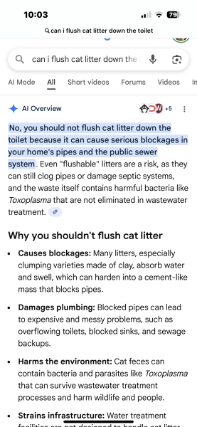 Returning new kittens - why didn't this work?