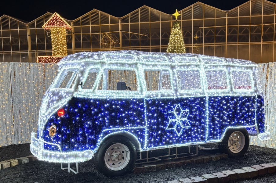 Daily Project round 8