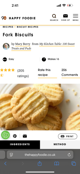 Is this doable for an amateur baker? Christmas biscuits (pic included)