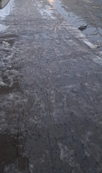 To be enjoying this cold snap 🤭